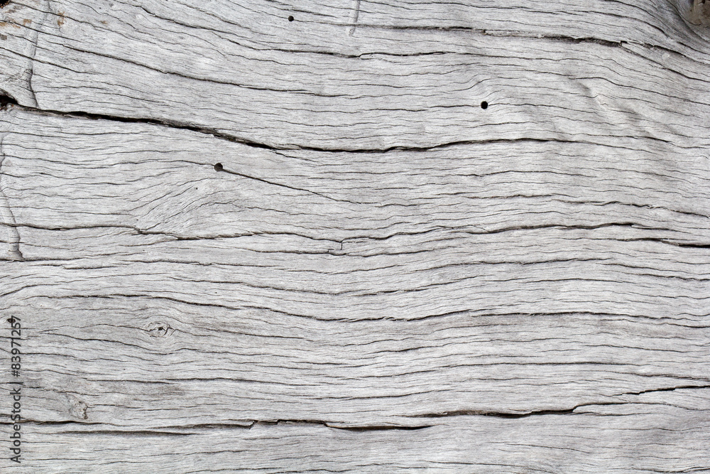 texture vieux bois sec blanchi texture vieux bois sec blanchi