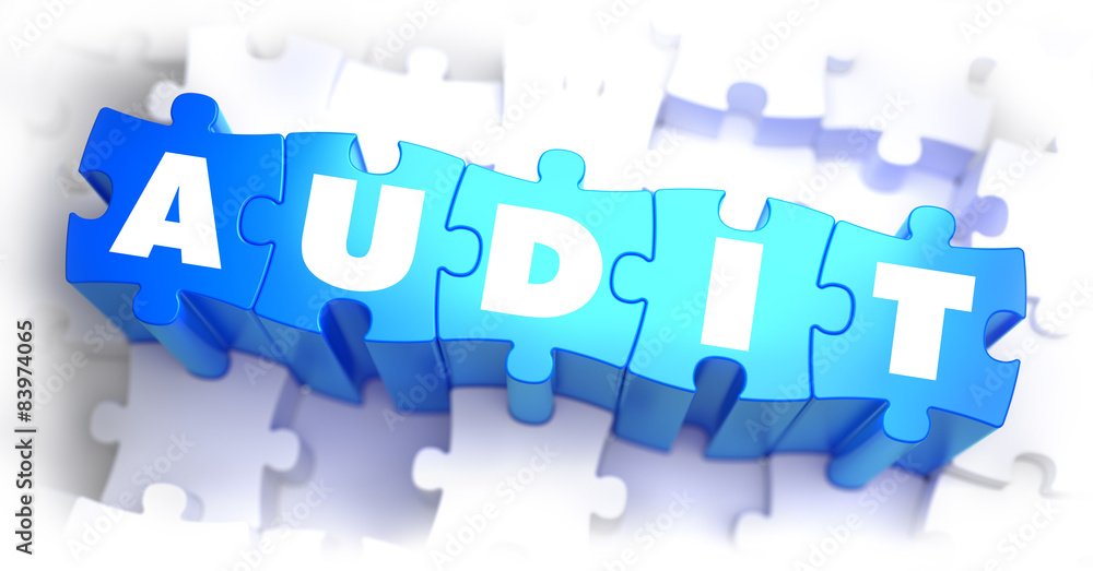 Audit - White Word on Blue Puzzles.