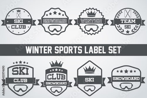 Set of Vintage Ice Snowboarding or SKI Club Badge and Label