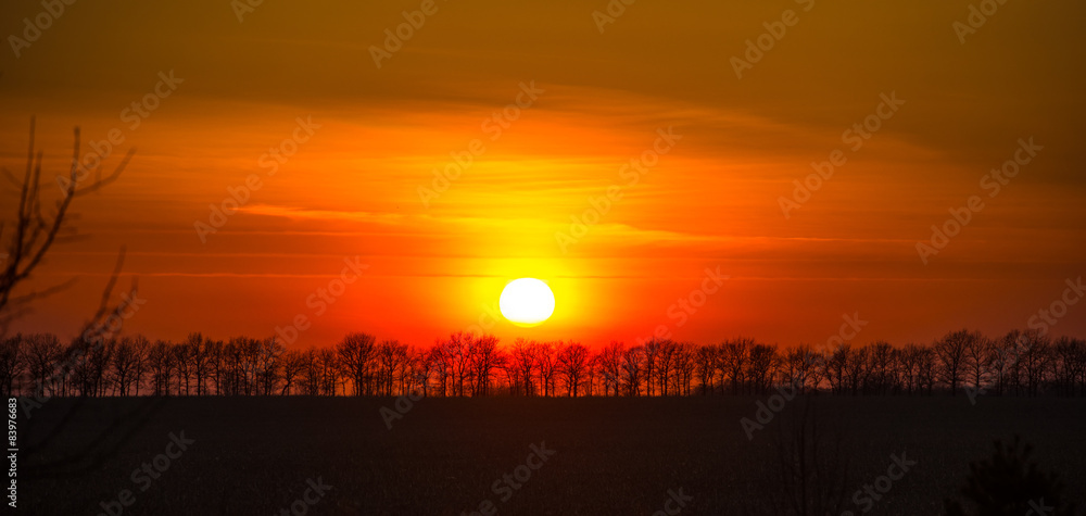 Obraz premium setting sun