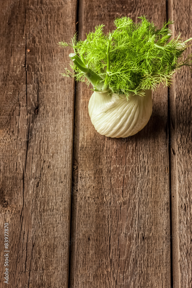fresh fennel full of vitamins and fibers fresh fennel full of vitamins and fibers