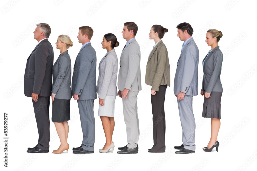 Fototapeta premium Business team standing in row