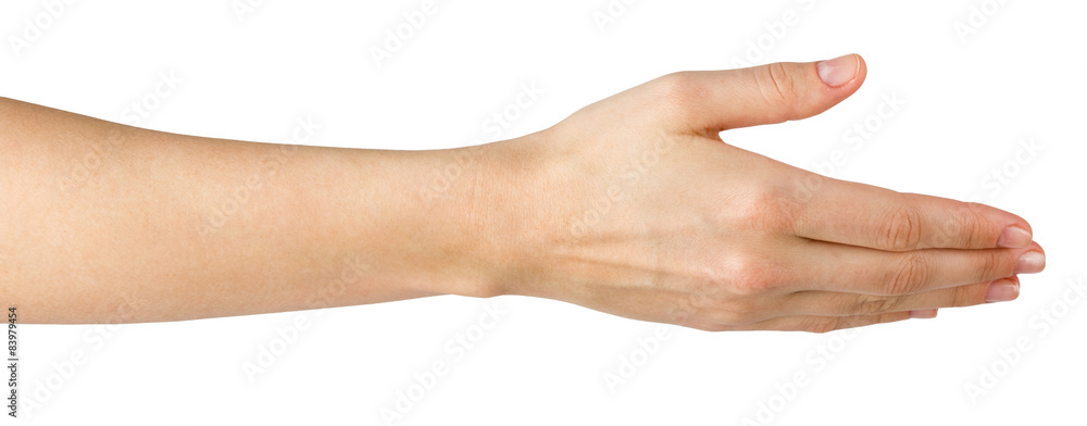 Female hand offering handshake isolated on white background Female hand offering handshake isolated on white background