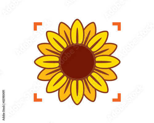 sunflower photography target