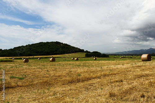 Panorama of a harvested field with bales of hay