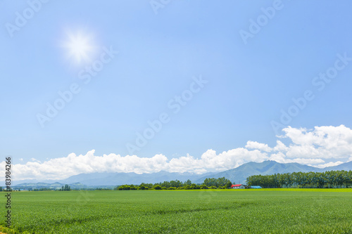                            Agricultural landscape Hokkaido Japan