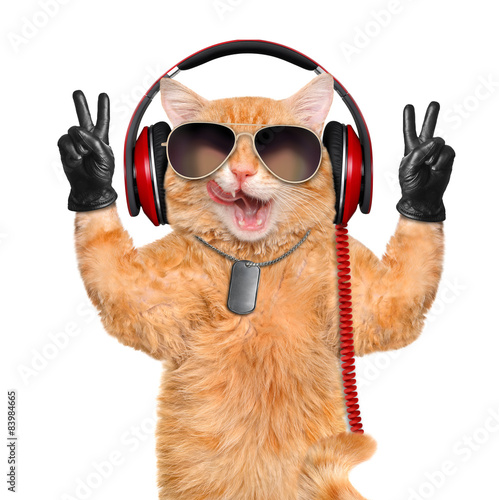 Fototapeta Naklejka Na Ścianę i Meble -  Cat headphones.
