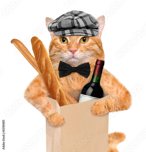 Fototapeta Naklejka Na Ścianę i Meble -  Cat with a bottle of wine and bread.
