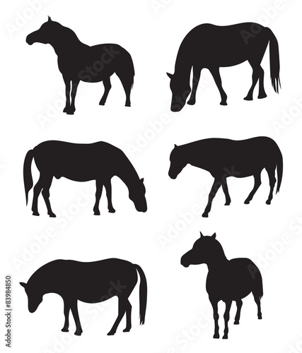 collection of black silhouettes of horses