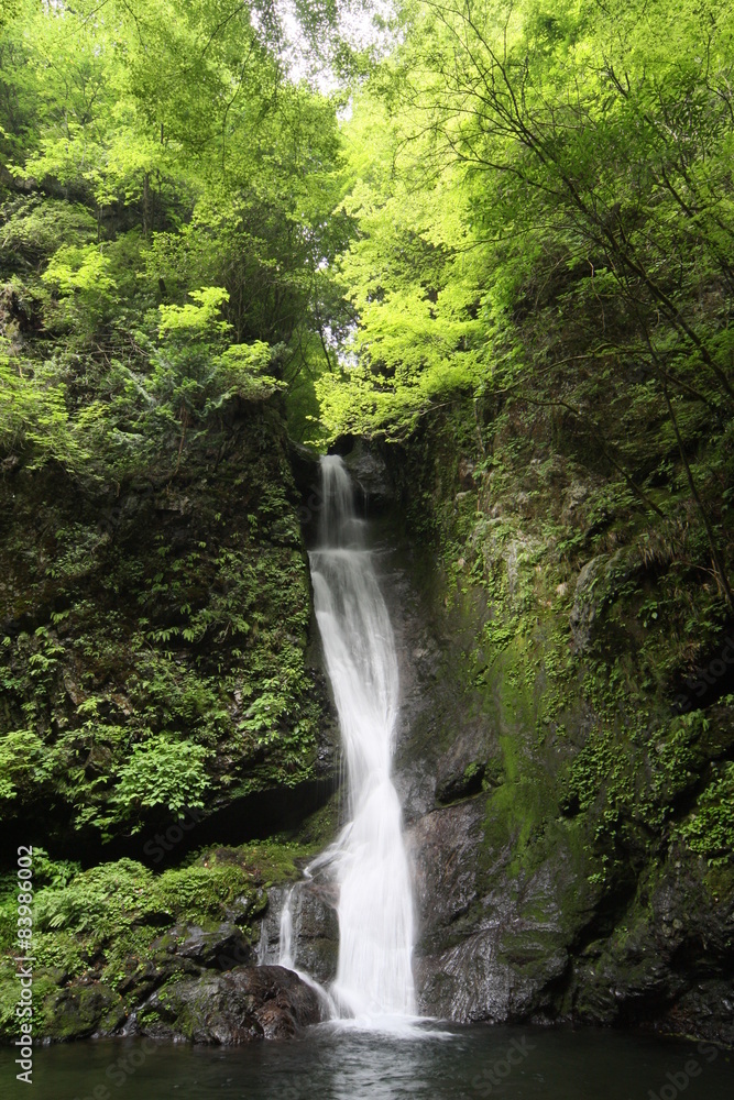 大滝 大滝