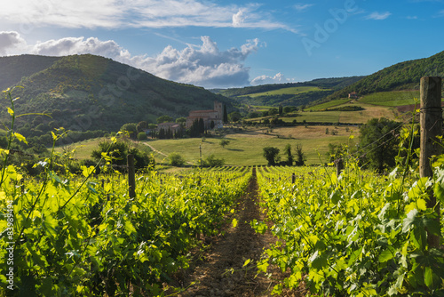 Medieval church among vineyards in the sunny summer Tuscany, Mon