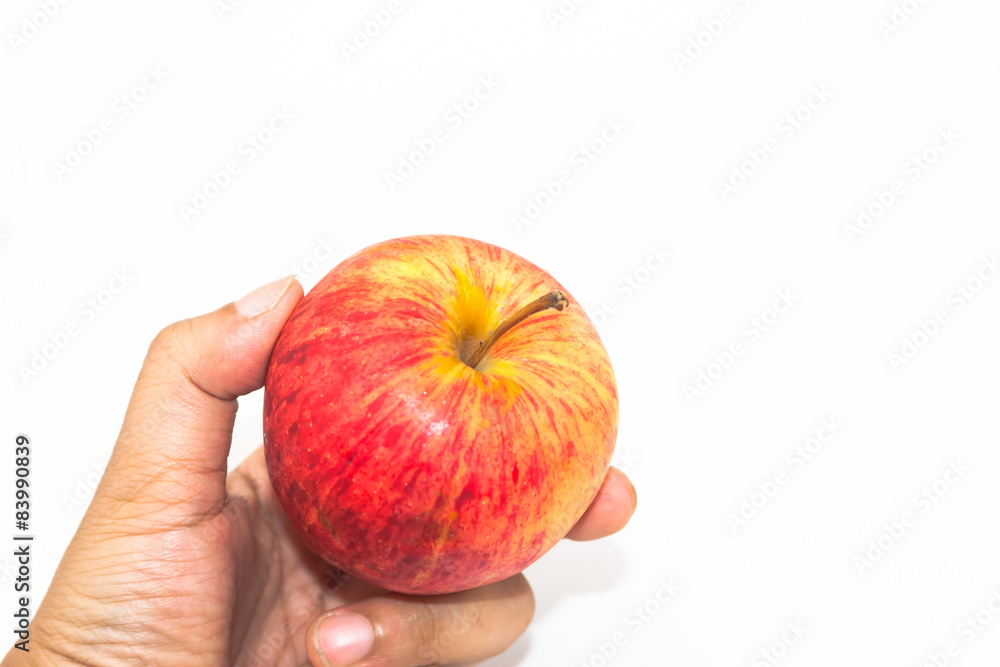hand hold red apple hand hold red apple