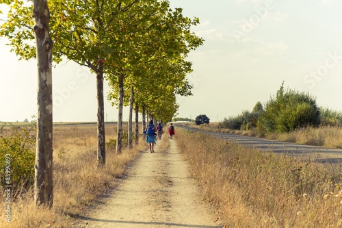 Peregrinos en  el Camino de Santiago photo