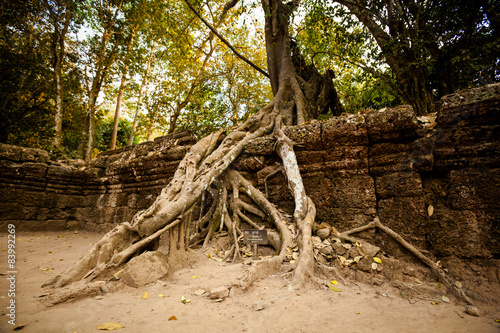 Ta Prohm temple Angkor Wat