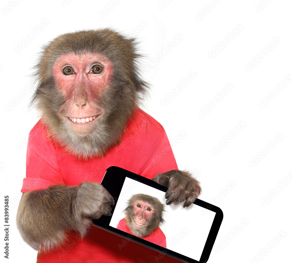 Funny monkey taking a selfie and smiling at camera Stock Photo ...