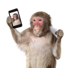 Fotobehang Aap Grappige aap maakt selfie lachend  © Lilya