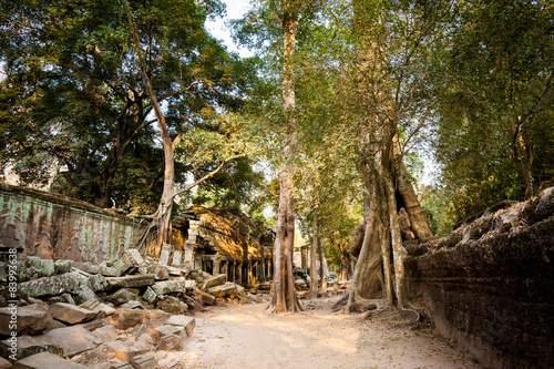 Ta Prohm temple Angkor Wat