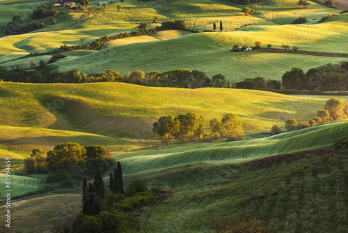 Beautiful summer landscape in the light of the rising sun.