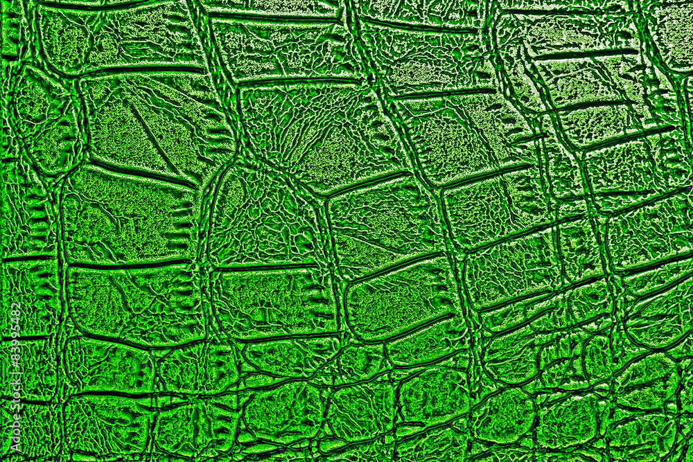 Green alligator skin texture for background