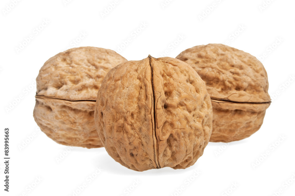 Walnuts on a white background, isolated objects Walnuts on a white background, isolated objects
