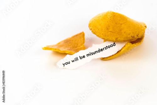 open fortune cookie - YOU WILL BE MISUNDERSTOOD