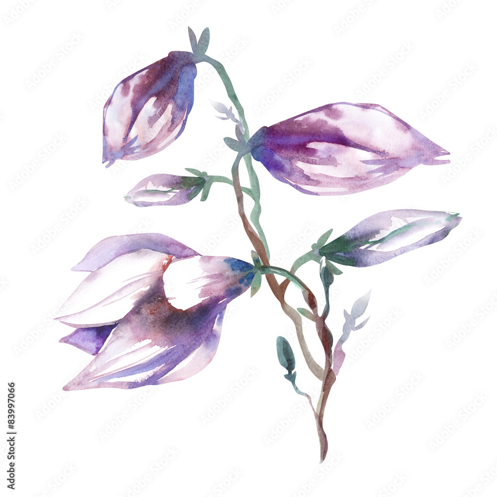 Naklejka premium Magnolia