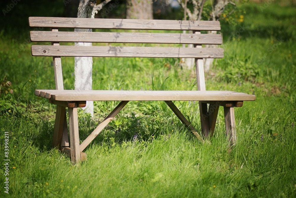 bench in the garden bench in the garden