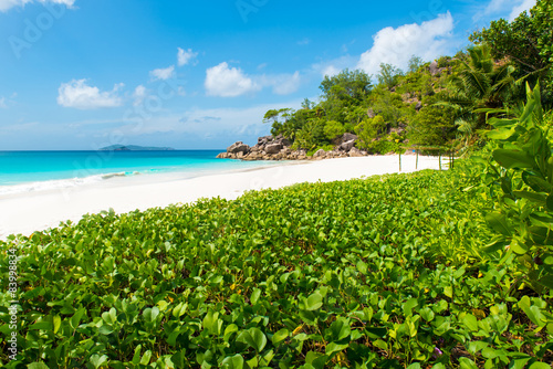 Beautiful Paradise beach - Tropical Island