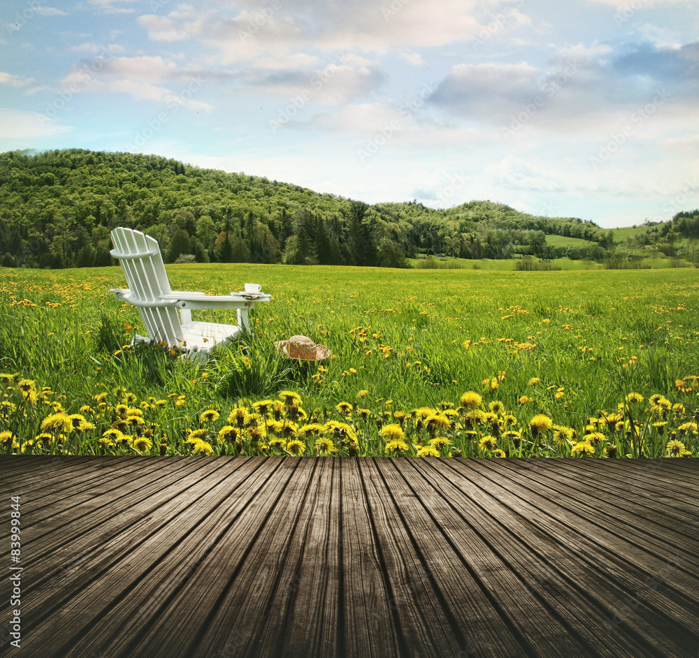 Naklejka premium Empty wooden table top in open fields of dandelions