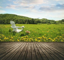 Empty wooden table top in open fields of dandelions