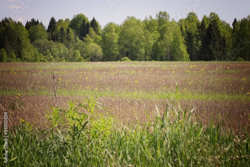 Countryside landscape