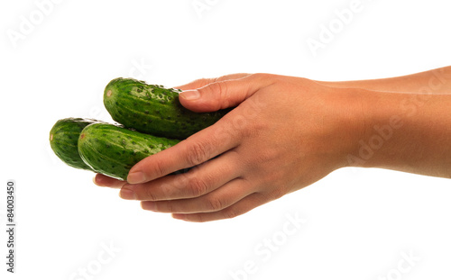 Fresh green cucumbers in hand