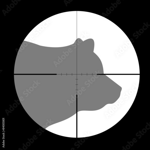 Hunting Season with Bear in gun sight