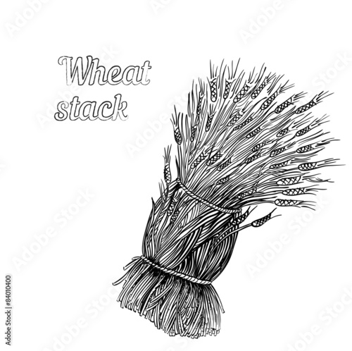 Bunch of wheat