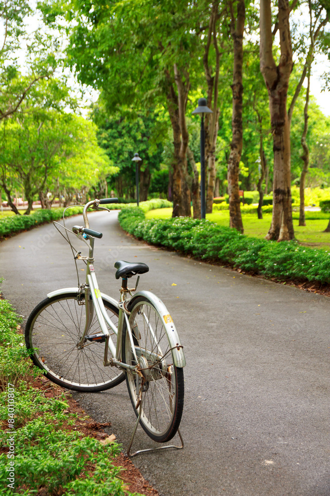 Stock Photo - Bicycles in the park for relex