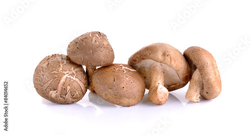 Shiitake Mushrooms isolated on the white background