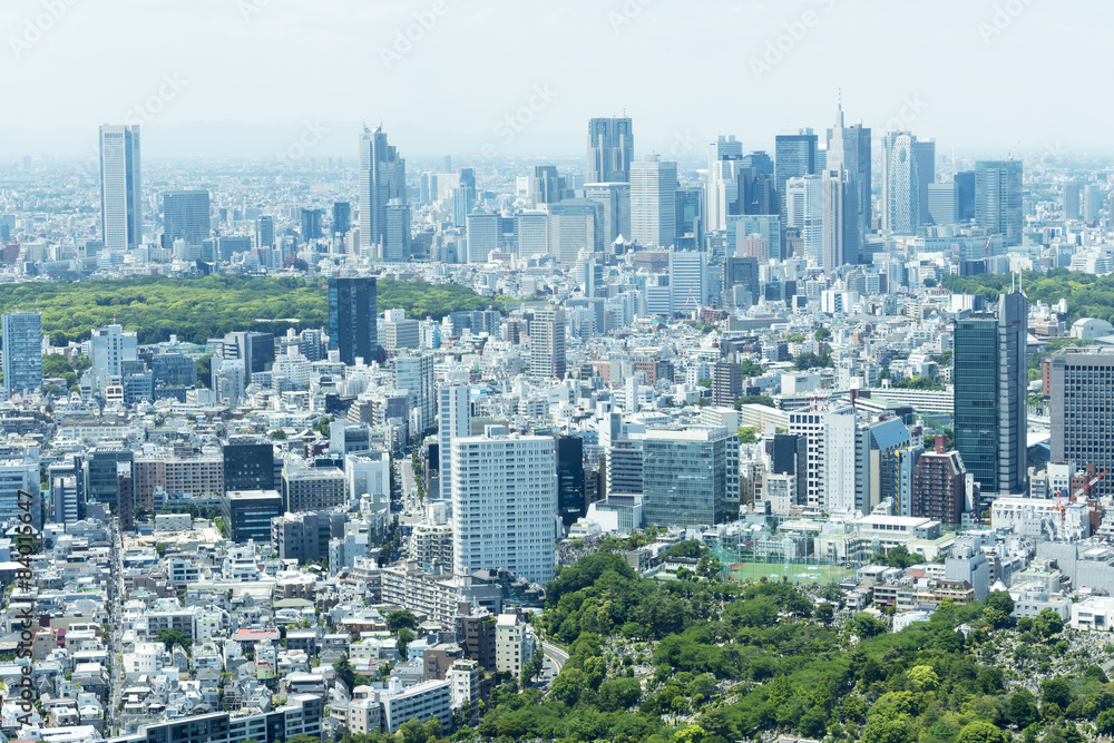 新宿高層ビル群と街並