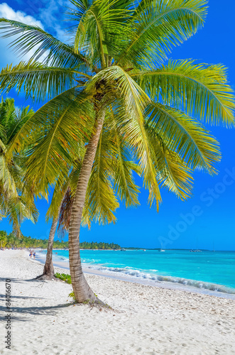Photography Exotic Caribbean beach with white sand