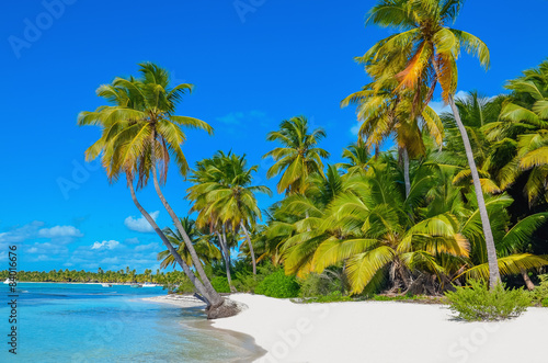 Fototapeta Naklejka Na Ścianę i Meble -  Caribbean beach with white sand and palm trees