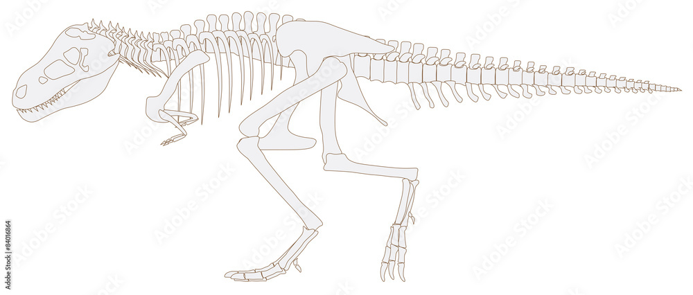 Fototapeta premium Tyrannosaurus rex dinosaur fossil graphic design in isolated bac
