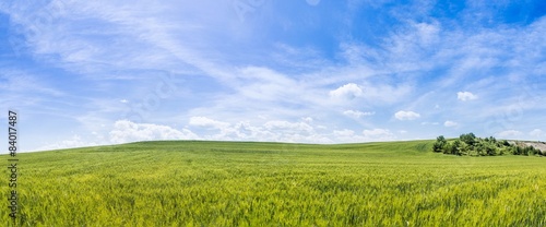 Panoramic view of farmland day scene background © viperagp