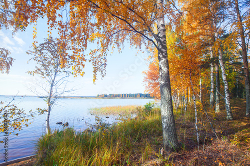 Autumnal Park. Autumn Trees and lake