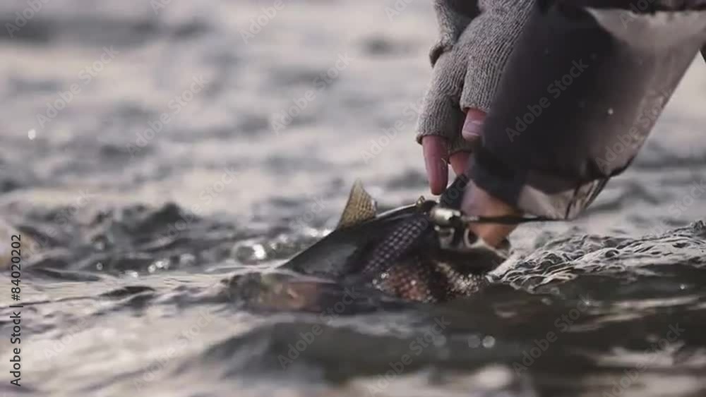 A man holds a fish in the river water and lets it go