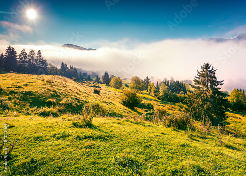 Foggy summer morning in the Triglav national park