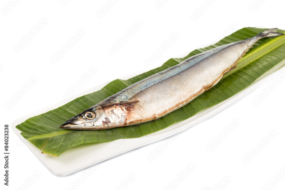 Fresh Japanese Sanma fish