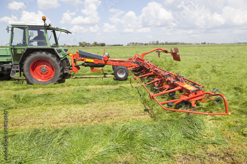 Εκτύπωση καμβά red hay turner in green meadow in the netherlands