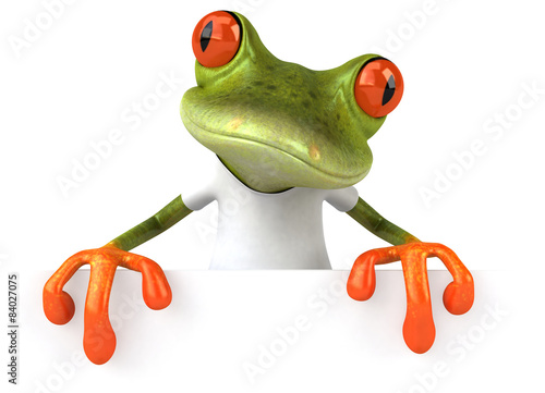 Frog with a white tshirt