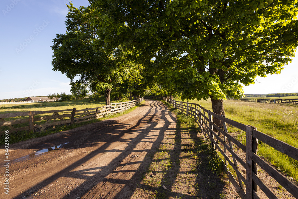 Fototapeta premium rural areas