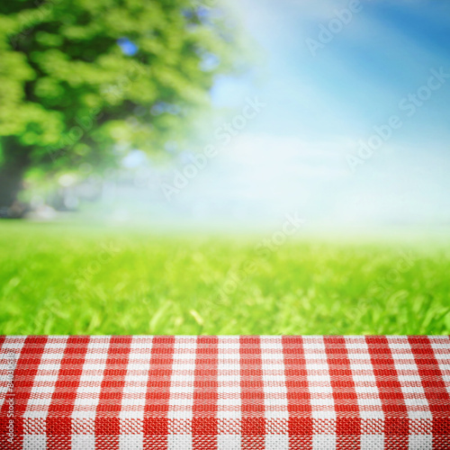 Picnic wooden table in the park
