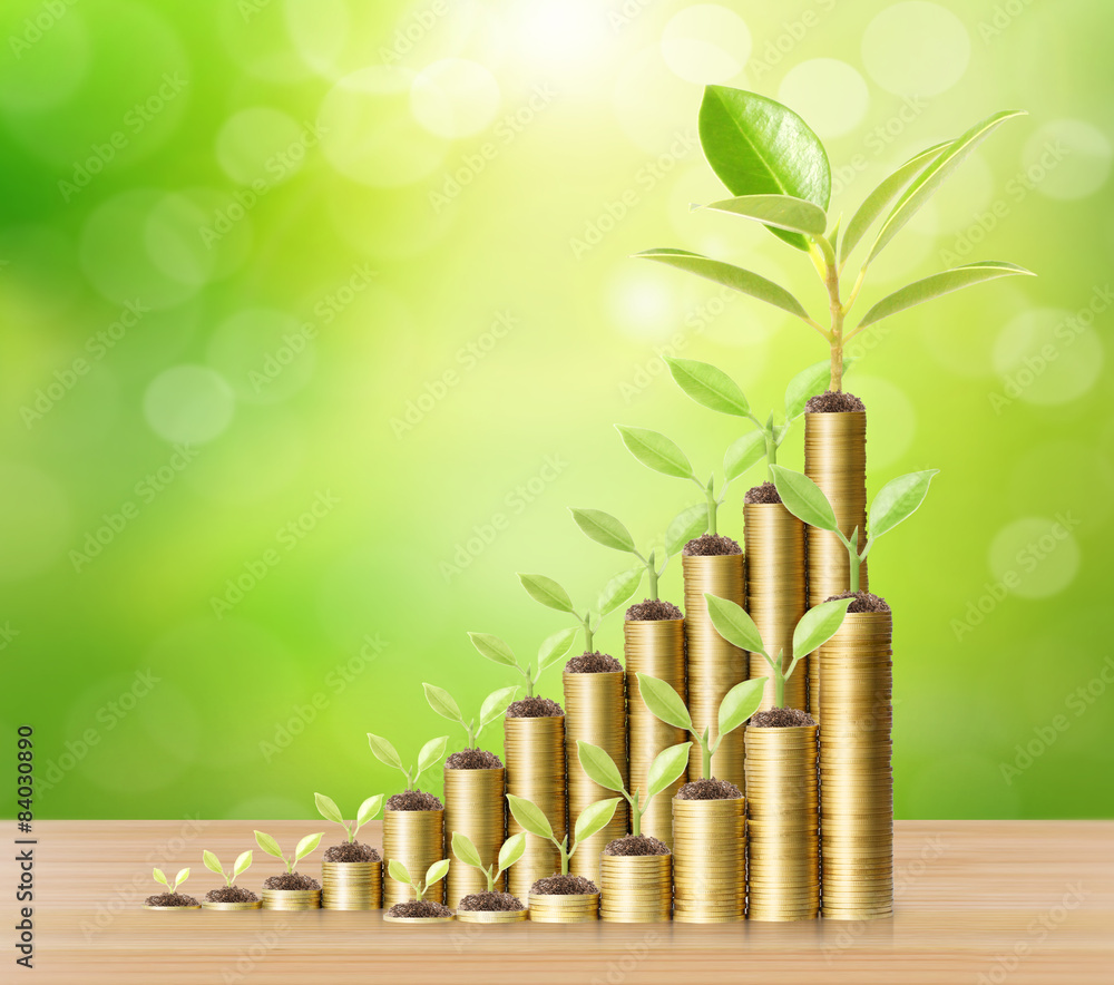 Investment concept, Coins graph stock Investment concept, Coins graph stock